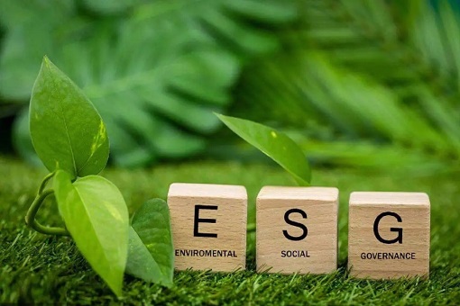 【ESG與高質量發展2】如何高質量披露企業ESG信息